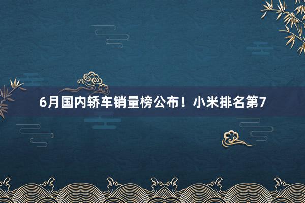 6月国内轿车销量榜公布！小米排名第7